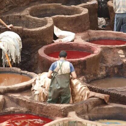 PETA-owned image for the leather sick mission