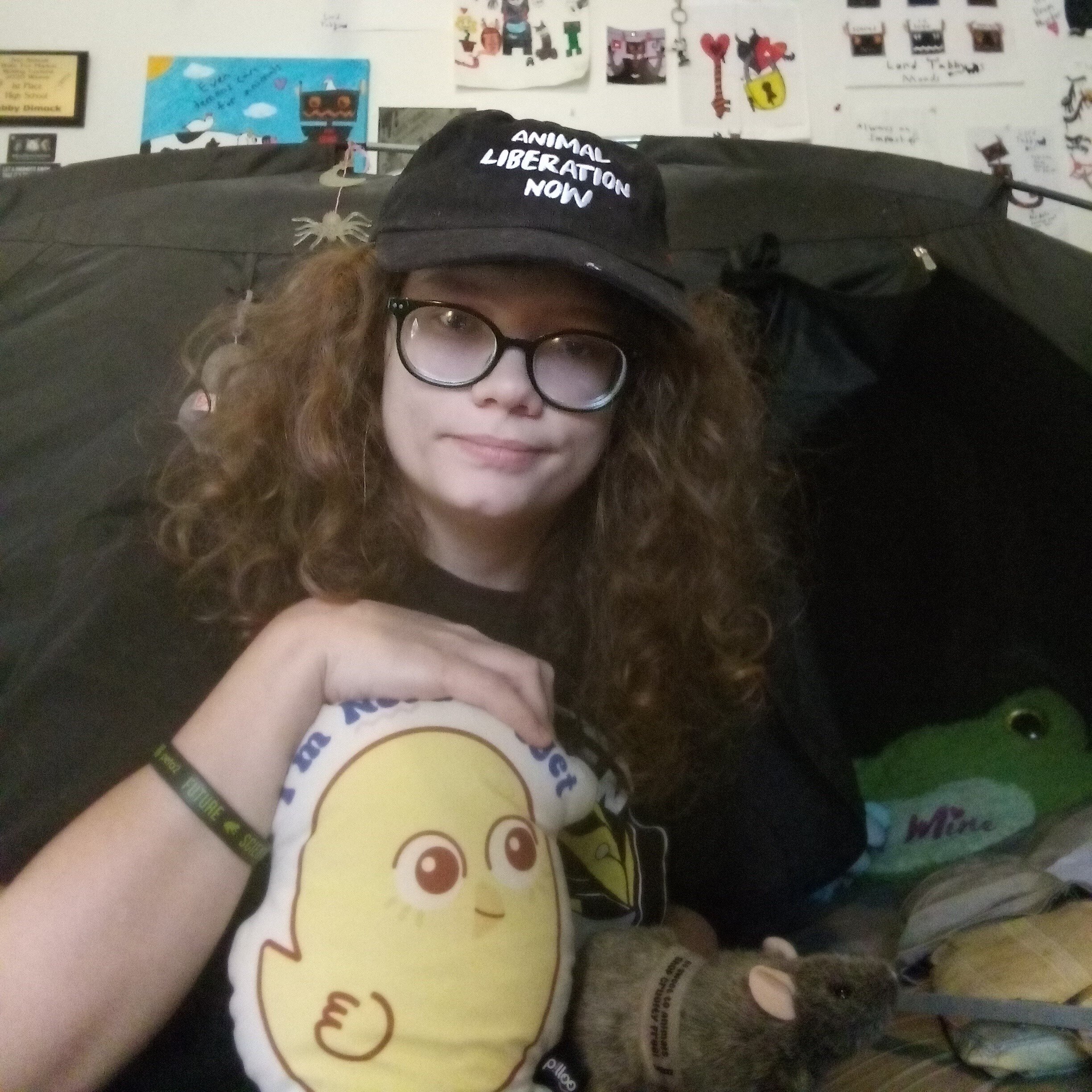 Tabby Dimock Nugget Pillow Rewards Hero to Animals