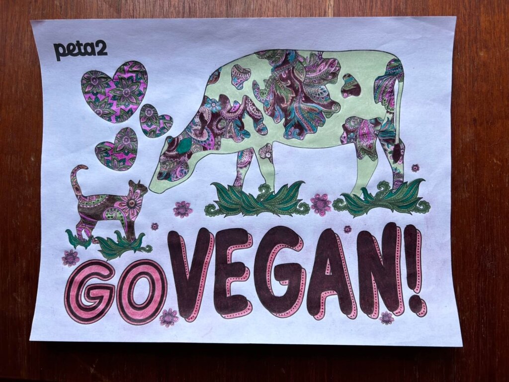 animal coloring page 3