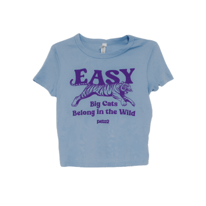 easy tiger tee rewards