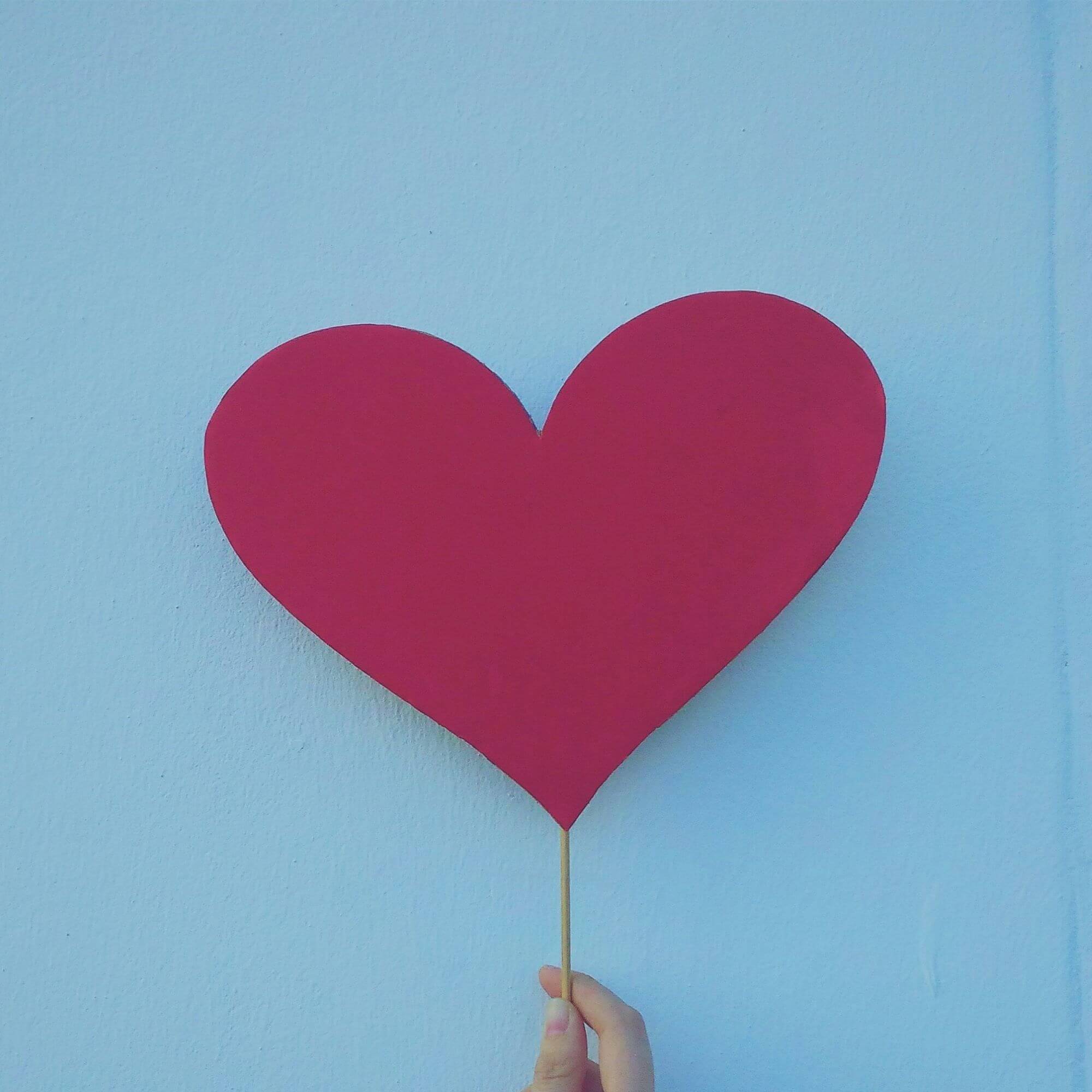 Image from Unsplash for the heart disease article