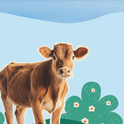 PETA-owned image for the skin vid mission