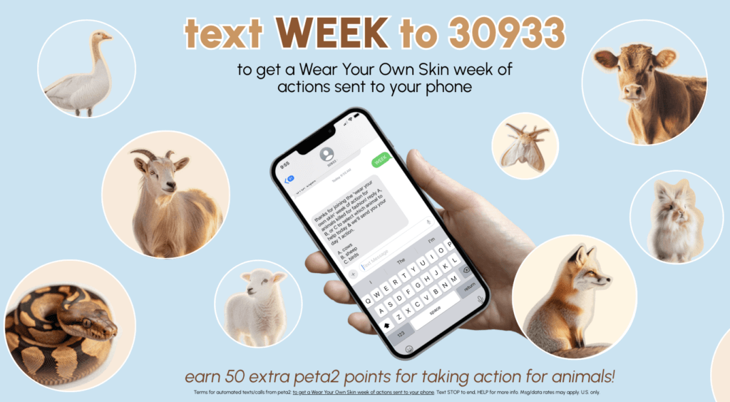 PETA-owned image for the week of actions mission