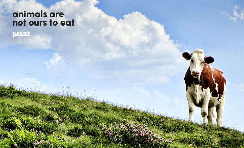 PETA-owned image