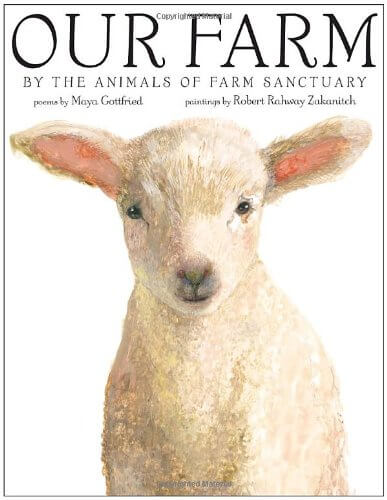 Image from Amazon