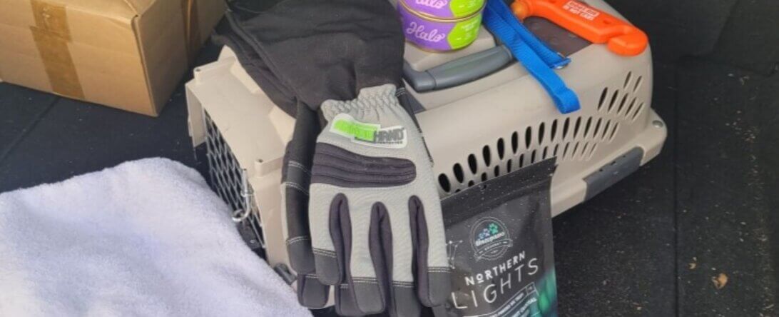 PETA-owned image for the emergency kit mission