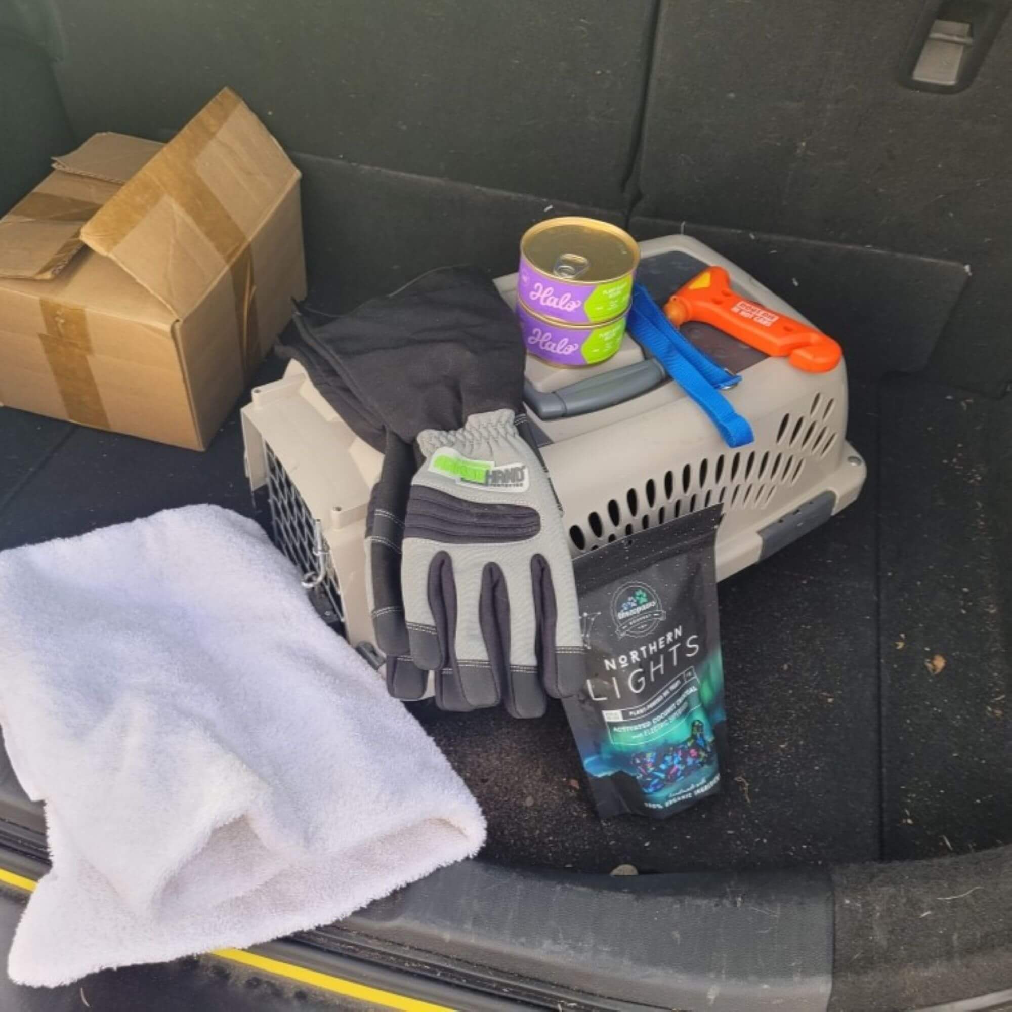 PETA-owned image for the emergency kit mission