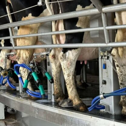 PETA-owned image for the milk contains pus mission