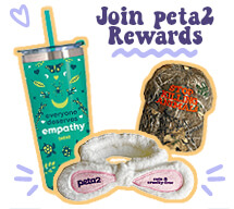 Join Now Popup Image