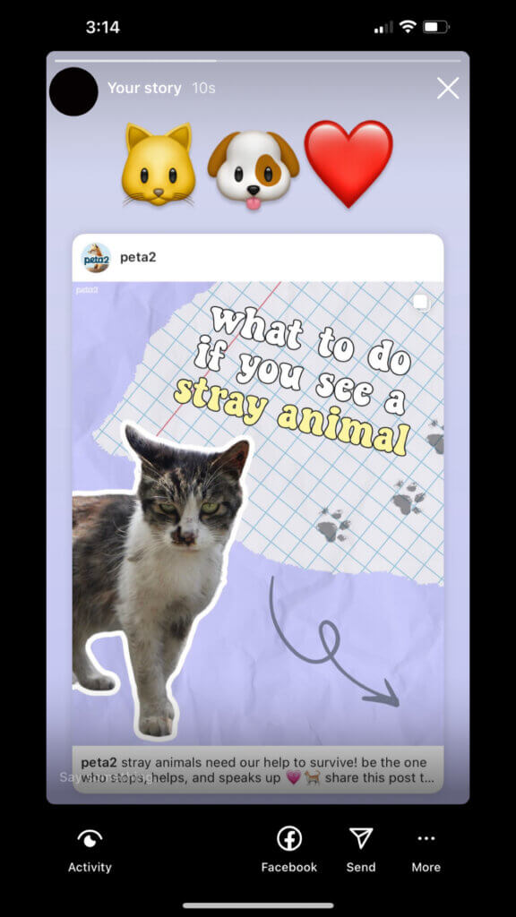PETA-owned image for the stray cats dogs mission