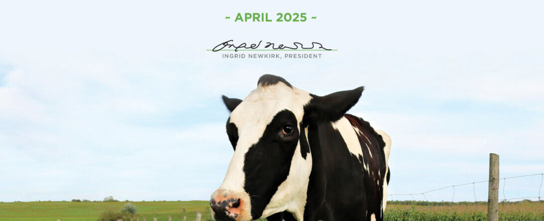 PETA-owned image for the BOAA article