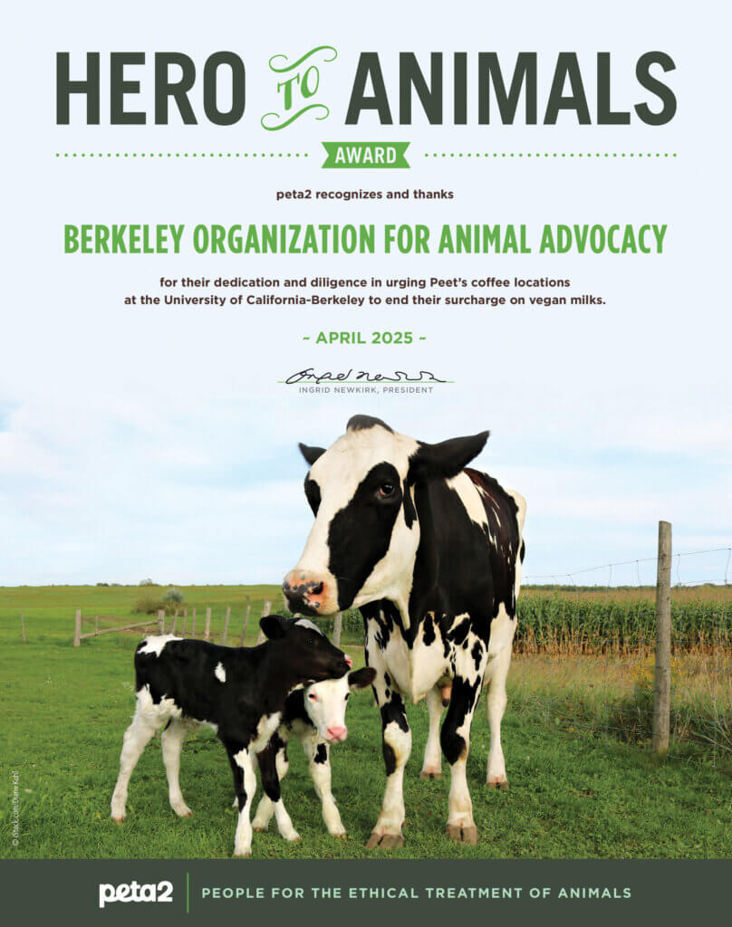 PETA-owned image for the BOAA article