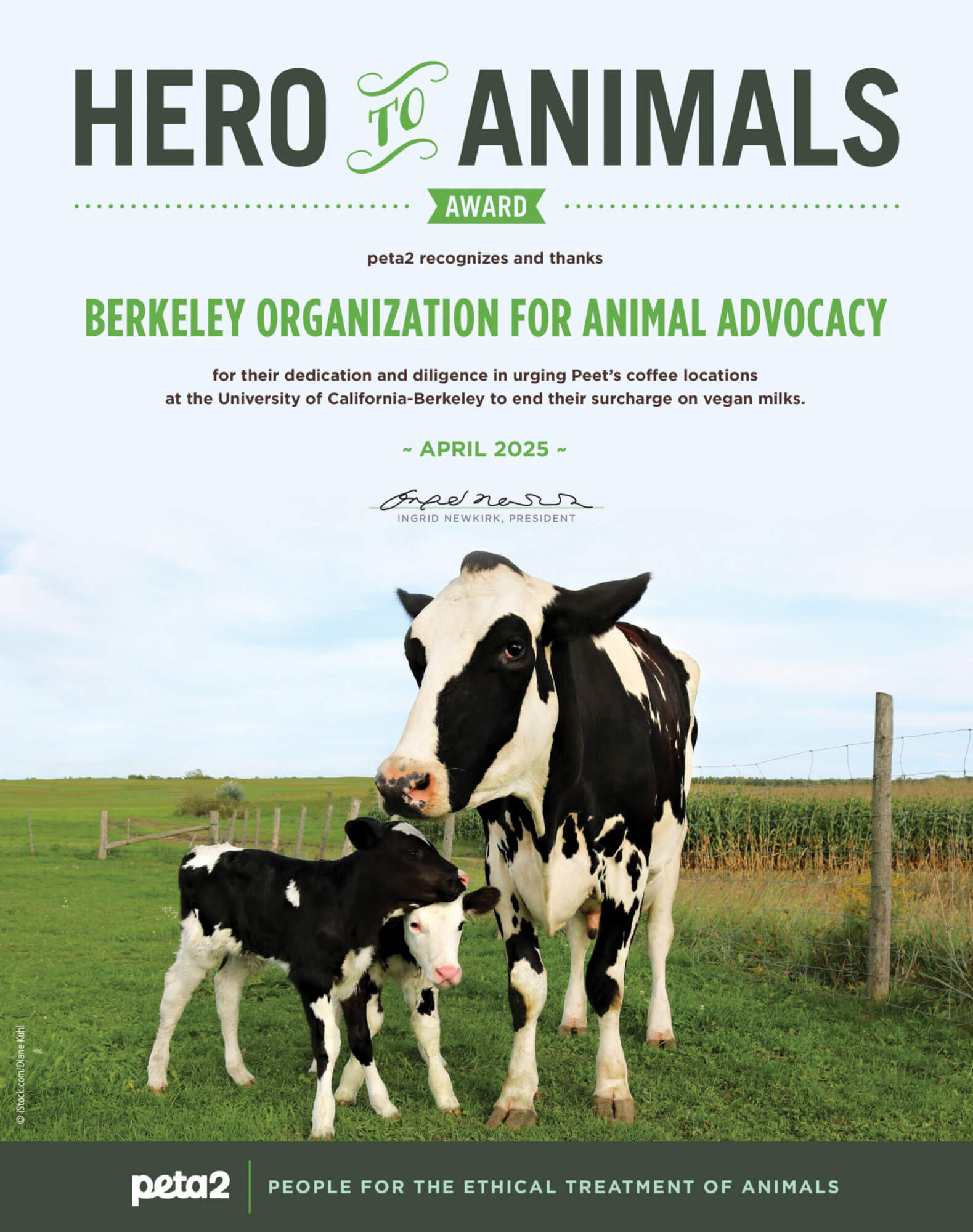 PETA-owned image for the BOAA article