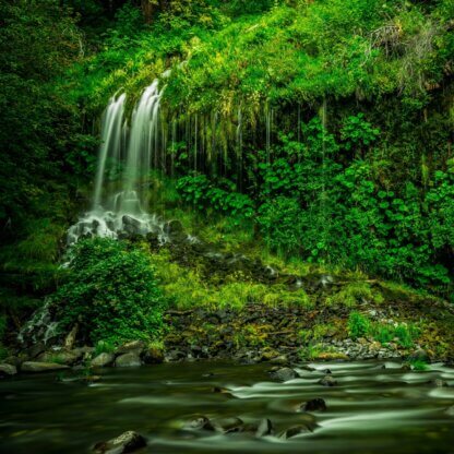 Image from Unsplash for the Earth Day quiz mission