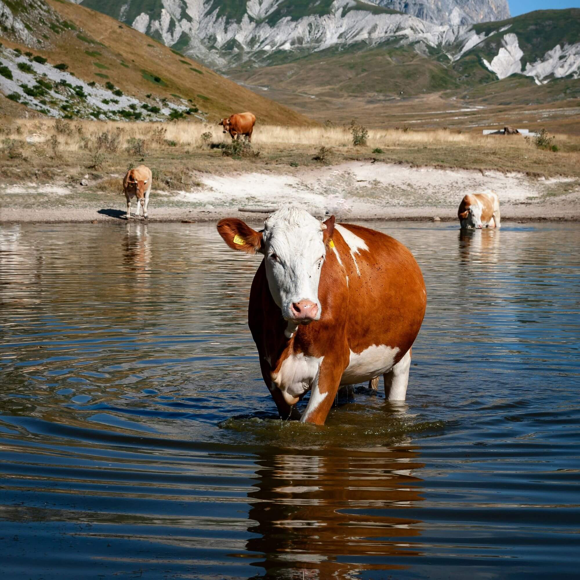 Image from Unsplash for the five reasons mission