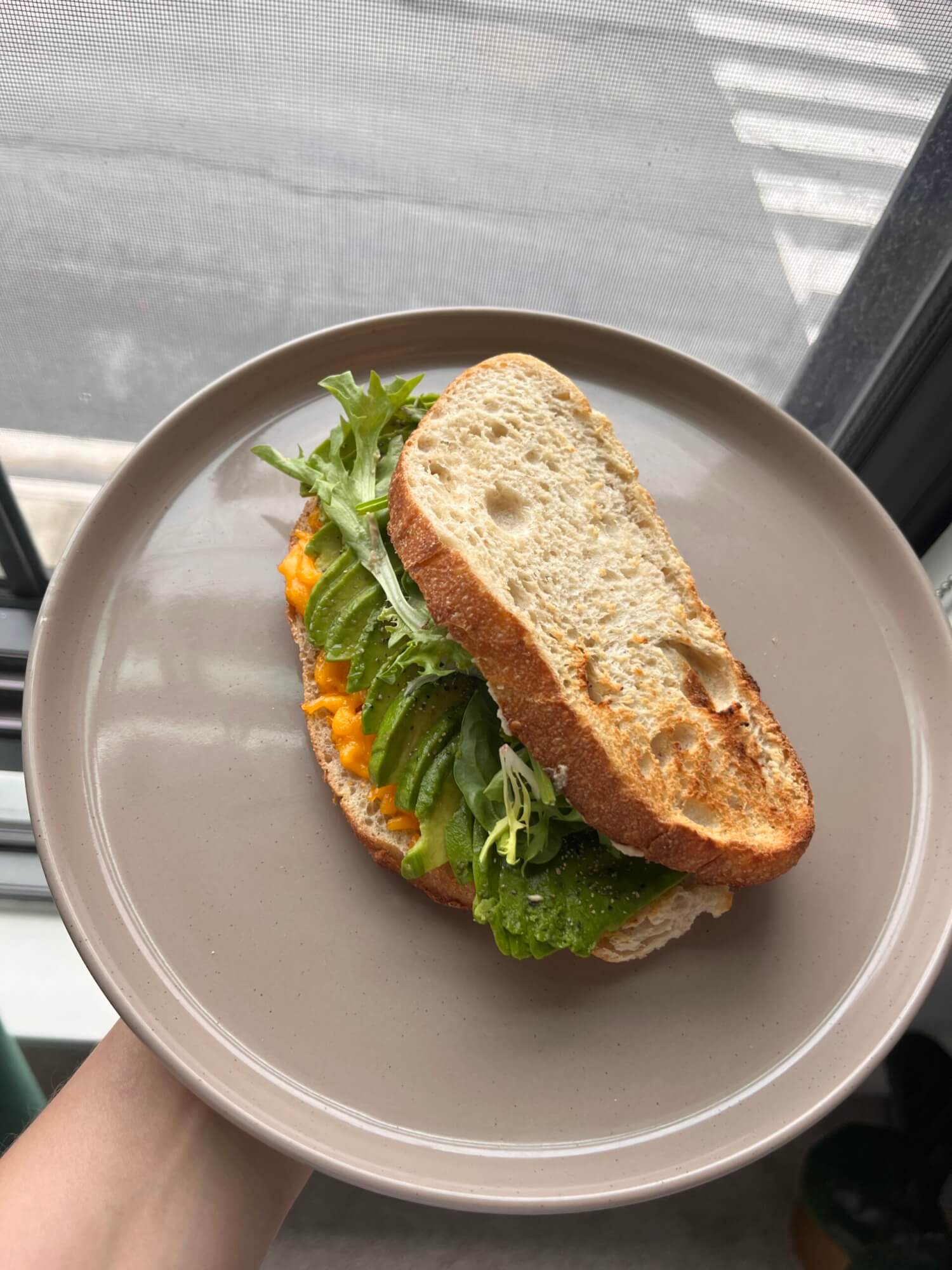 Vegan “Cheese” and Veggie Sandwich