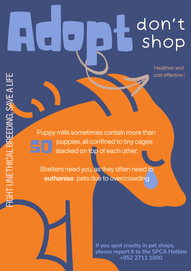 PETA-owned image for the animal rights school project article