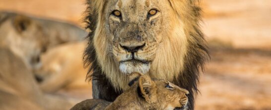 Image from Unsplash for the father's day gifts article
