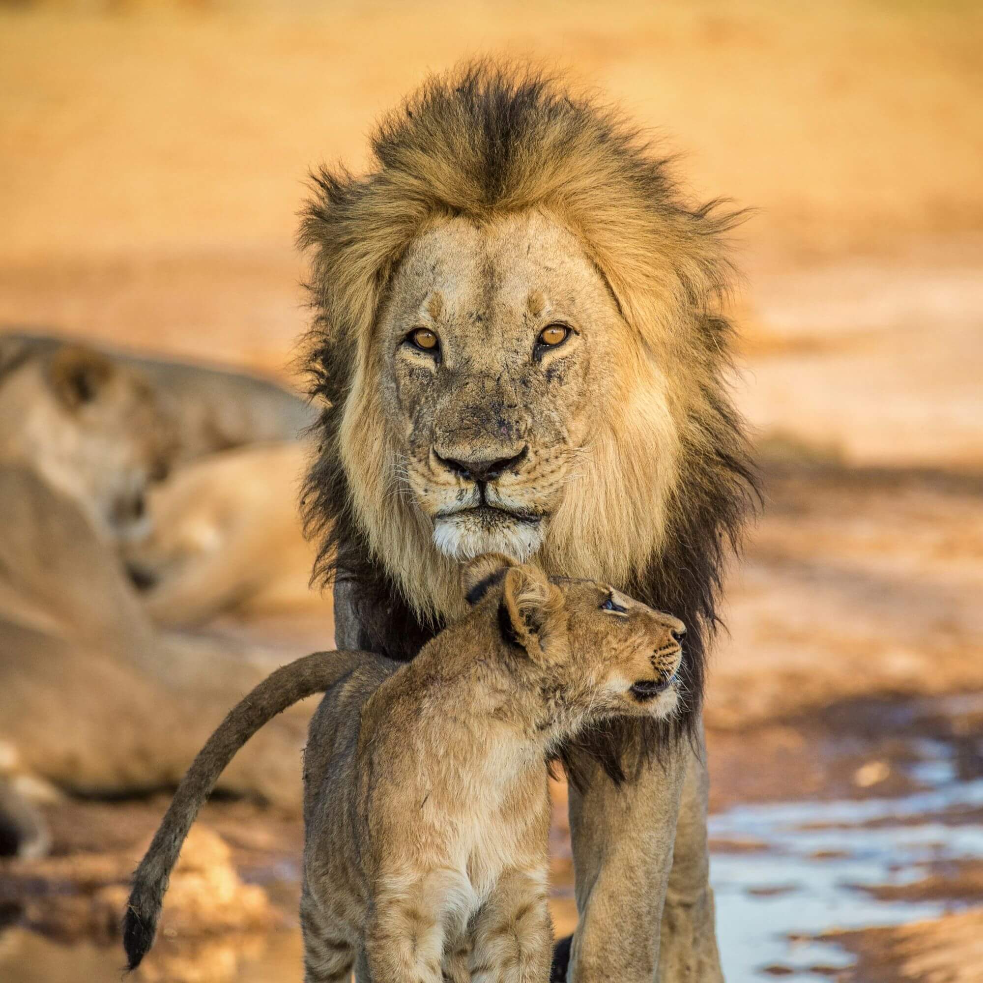Image from Unsplash for the father's day gifts article
