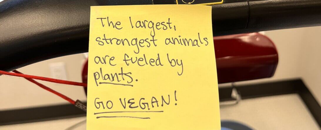 PETA-owned image for the gym note mission