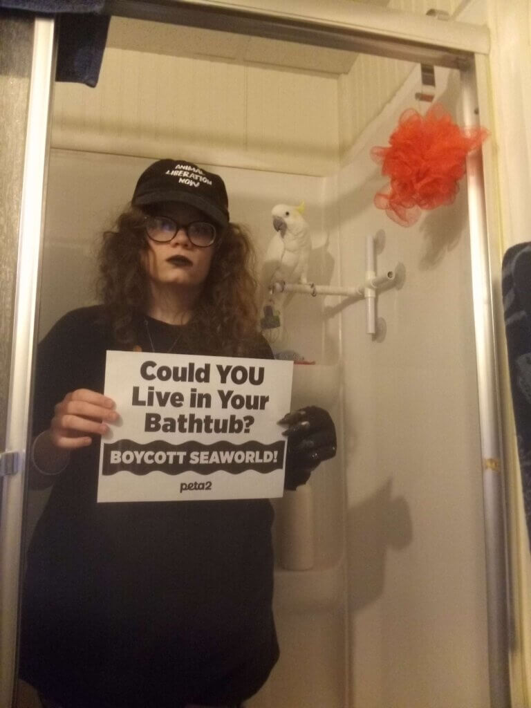 PETA-owned image