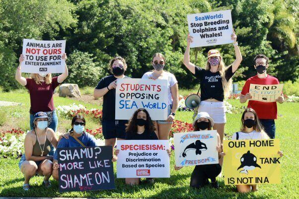 PETA-owned image for the parents activism article