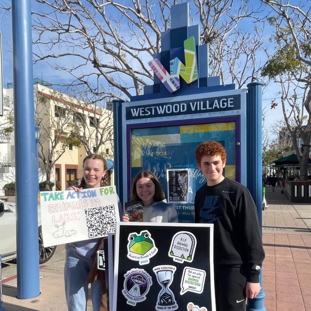 PETA-owned image for the parents activism article