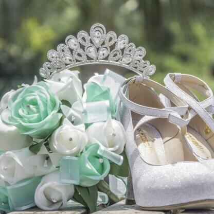 Image from Pixabay for the Vegan Quinceañera article