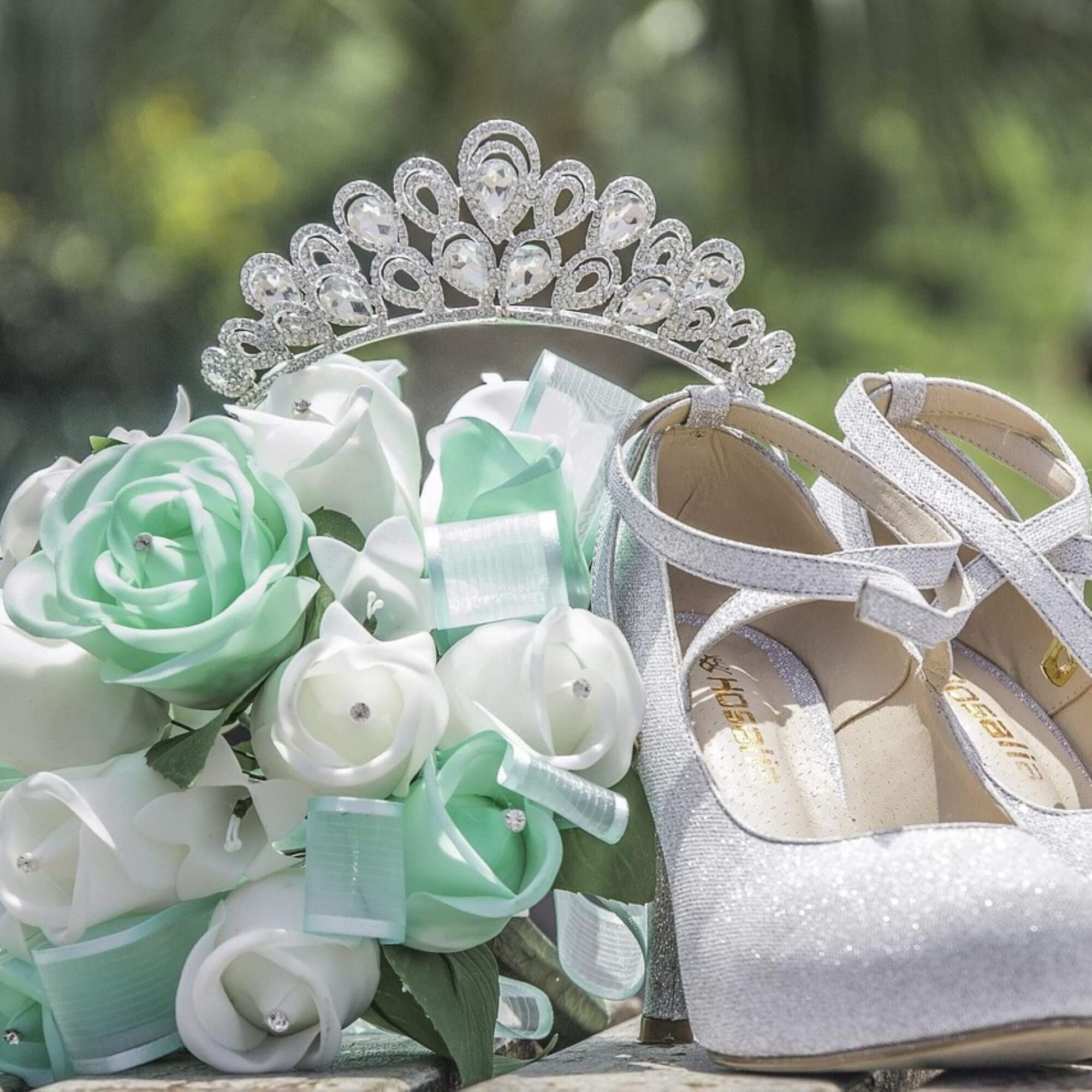 Image from Pixabay for the Vegan Quinceañera article