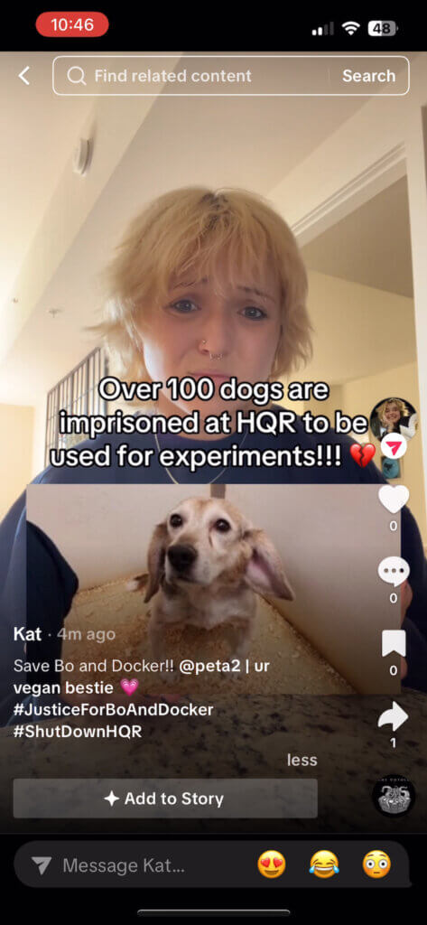 PETA-owned image