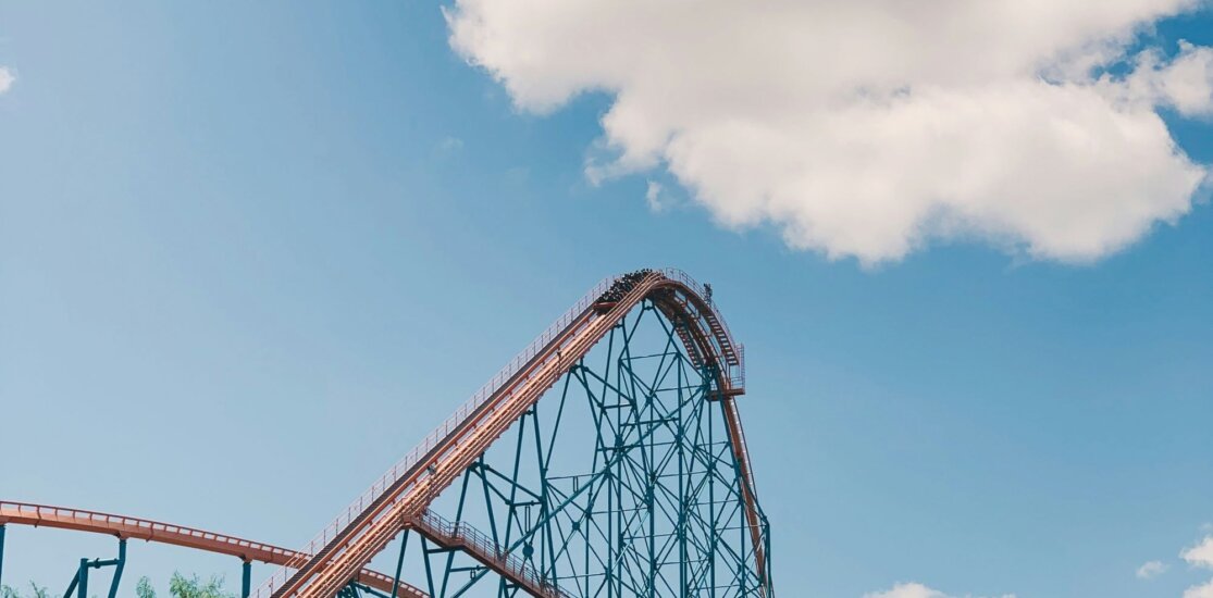 Image from Unsplash for the six flags vegan article