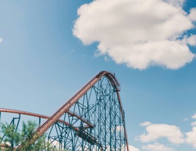 Image from Unsplash for the six flags vegan article