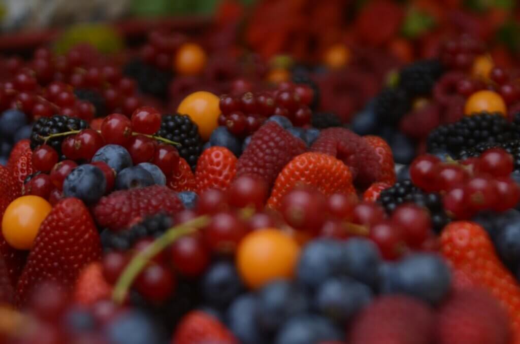 Image from Unsplash for the vegan six flags article