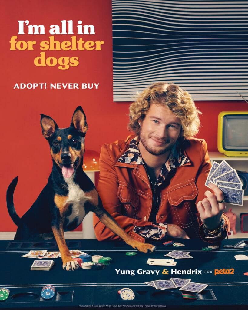 PETA-owned image for the yung gravy article