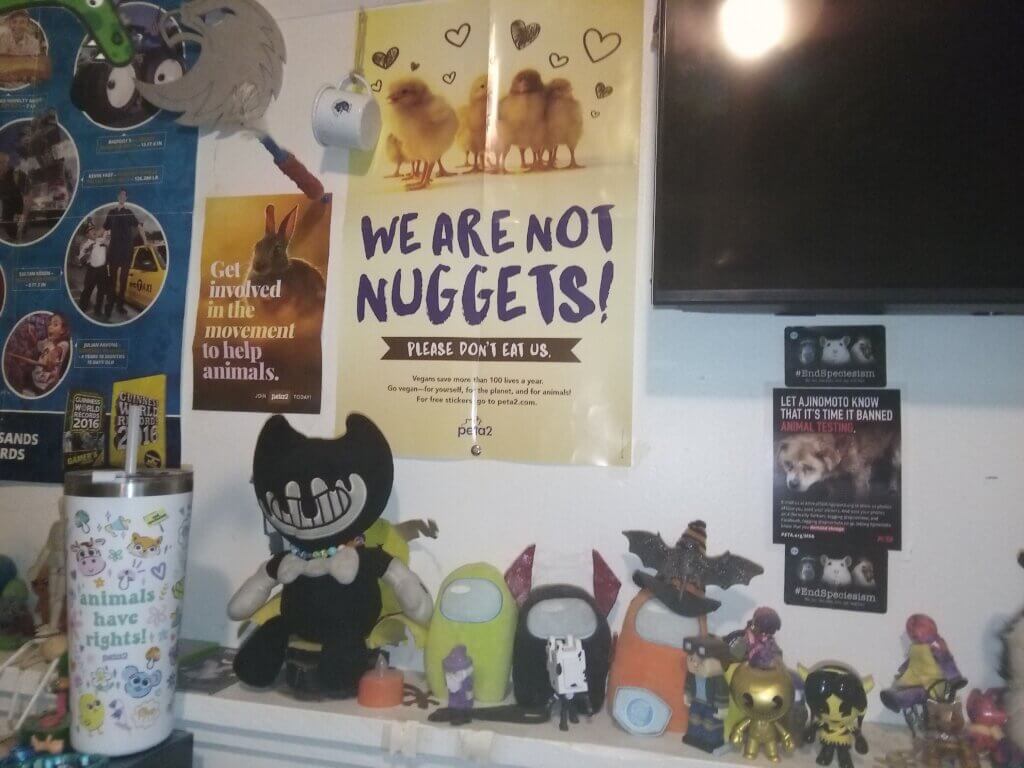 PETA-owned image for the animal-friendly room article