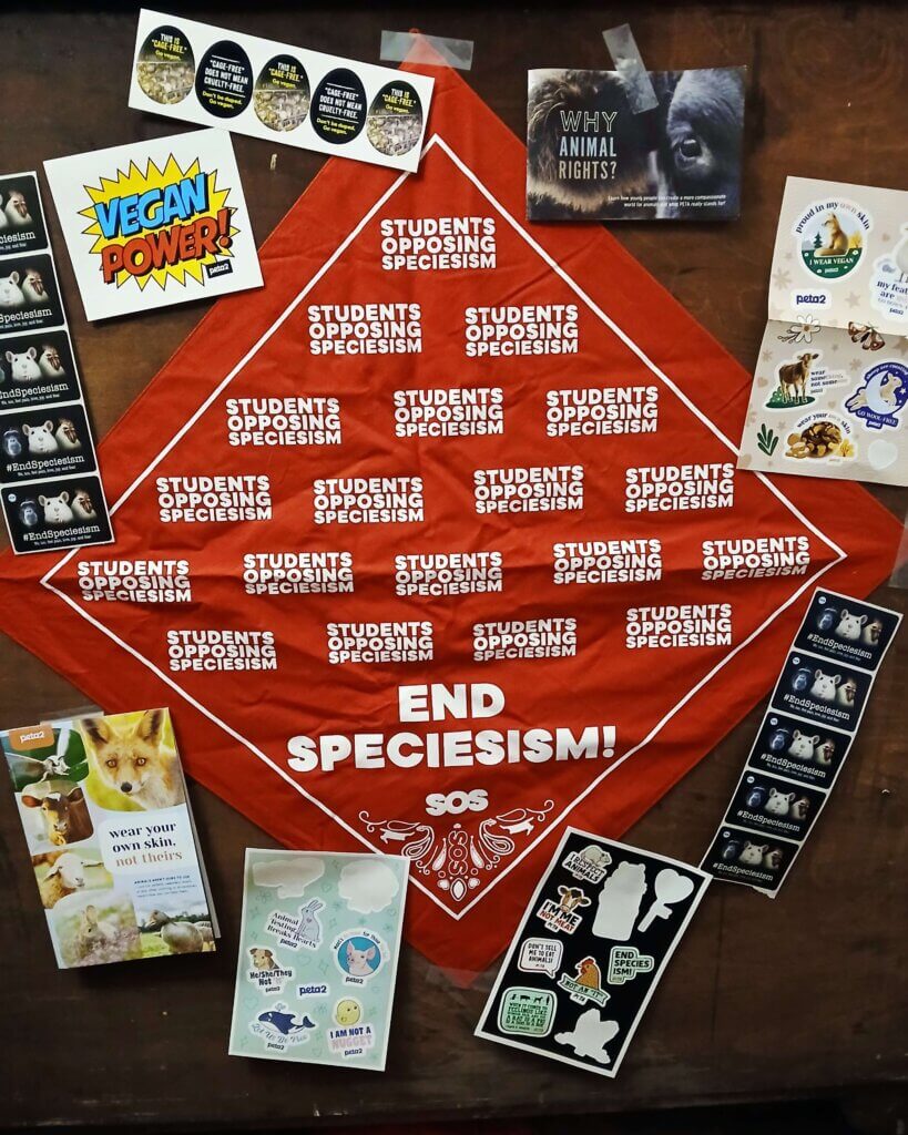 PETA-owned image for the animal-friendly room article