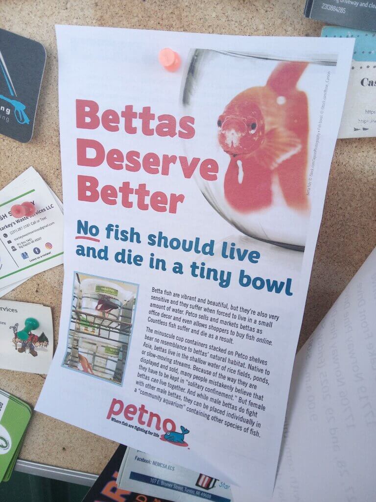 PETA-owned image