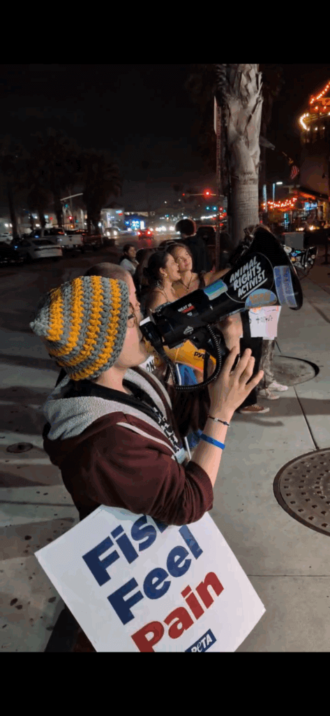 PETA-owned image for the goldfish racing mission