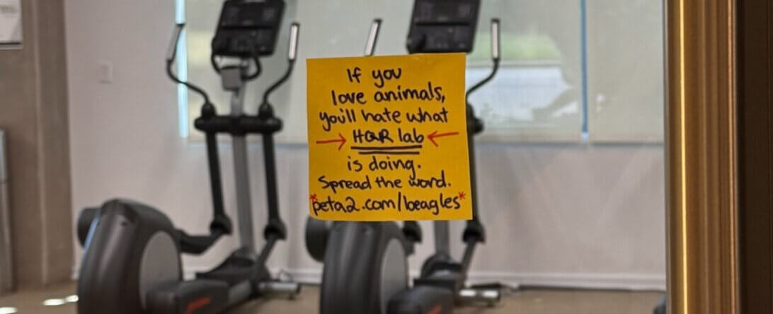 PETA-owned image for the message about hqr mission