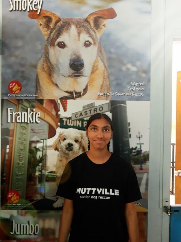 PETA-owned image for the senior dogs article