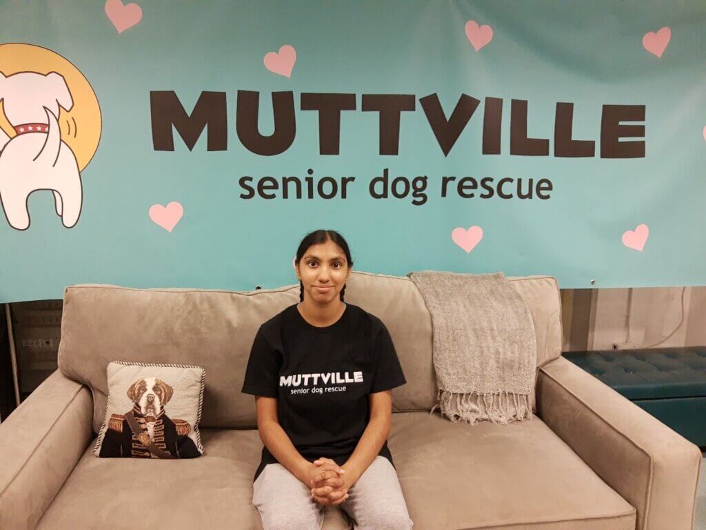 PETA-owned image for the senior dogs article