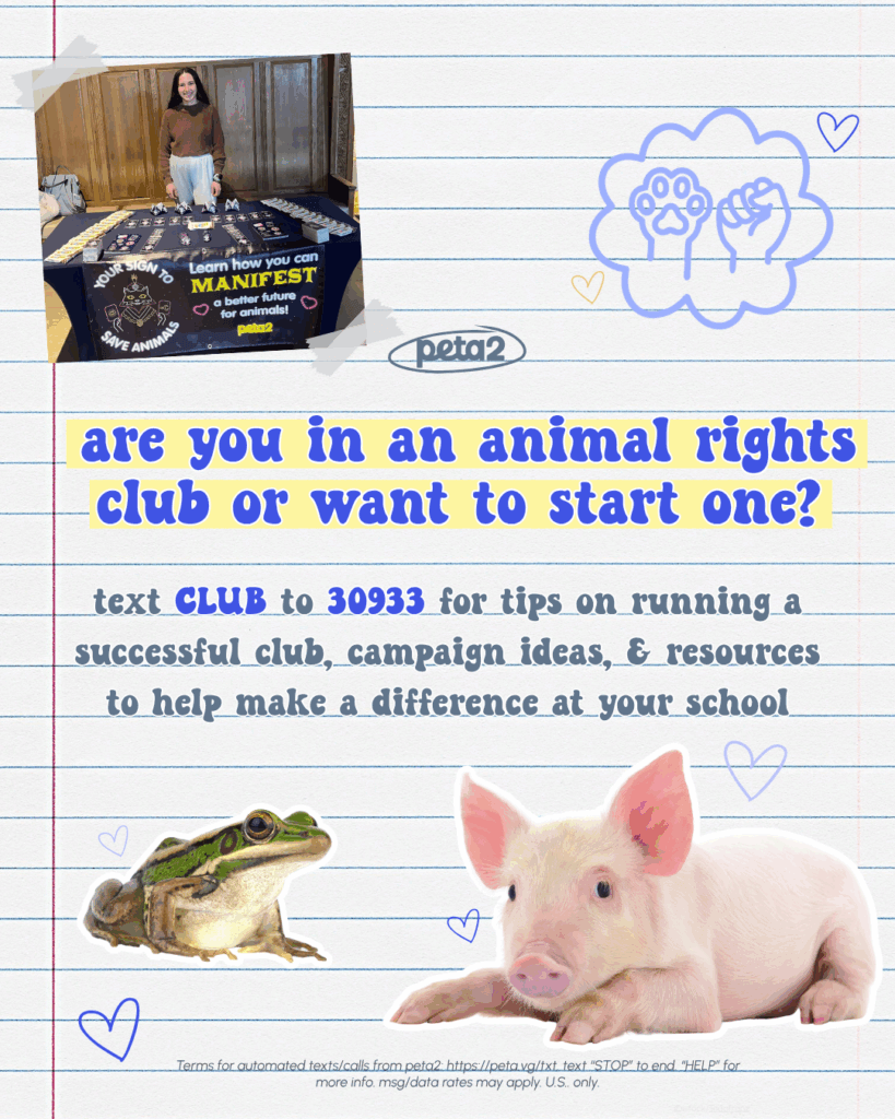 PETA-owned image for club pages