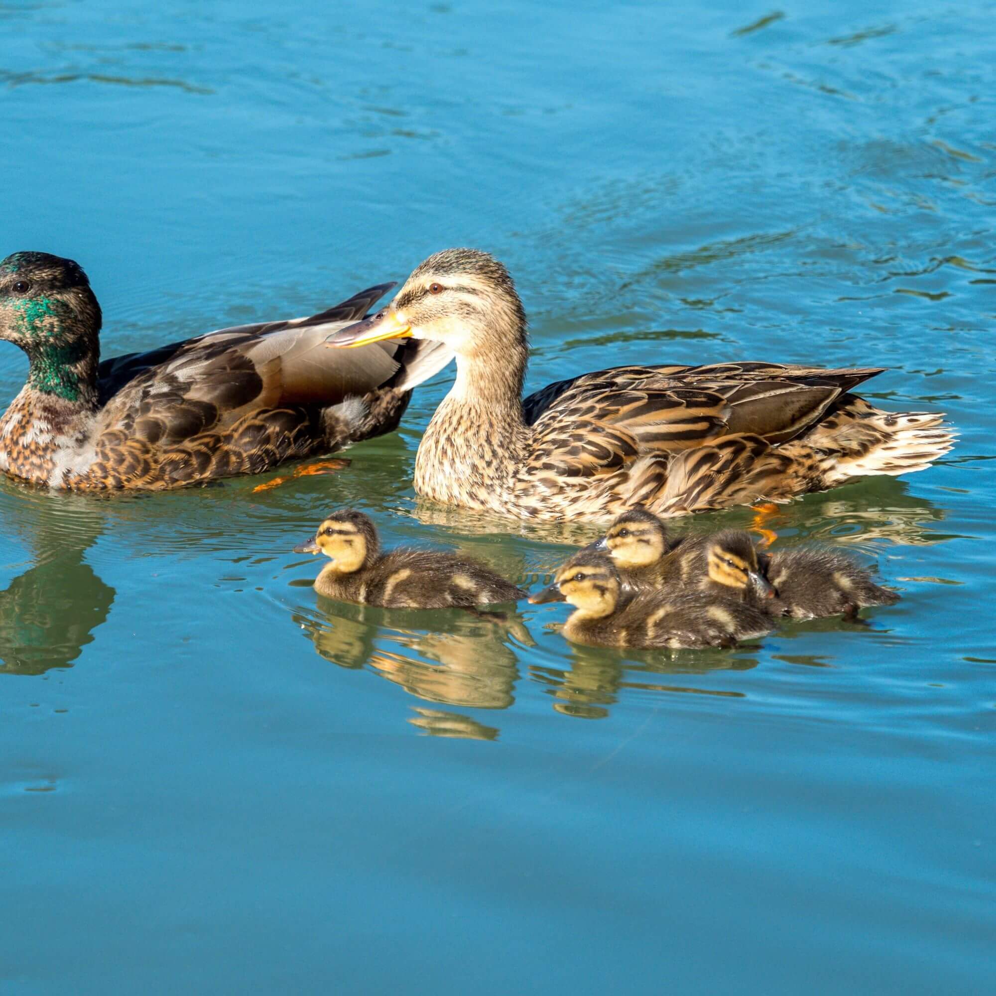 Image from Unsplash for the feel-good friday mission
