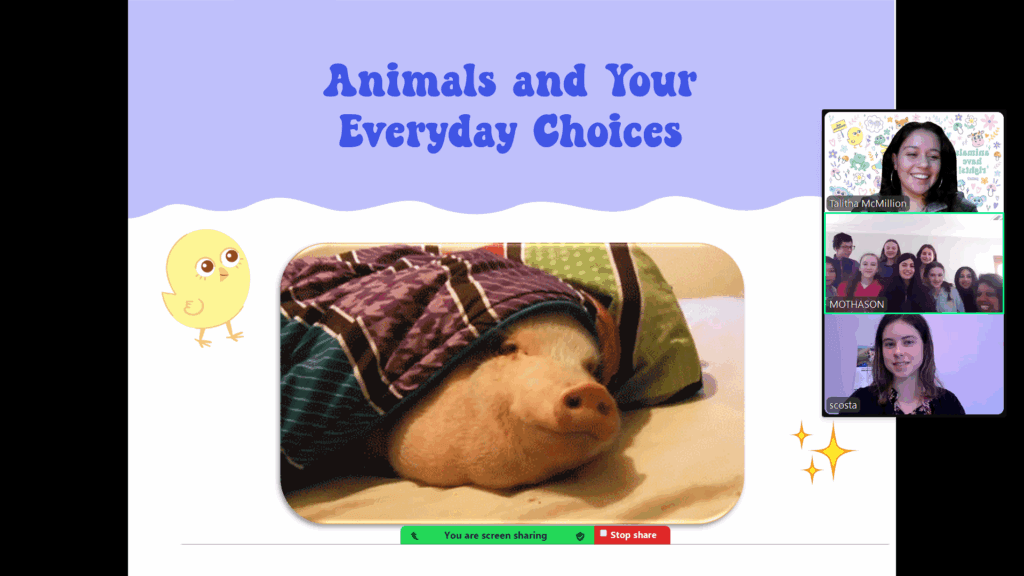 PETA-owned image for the social club network article