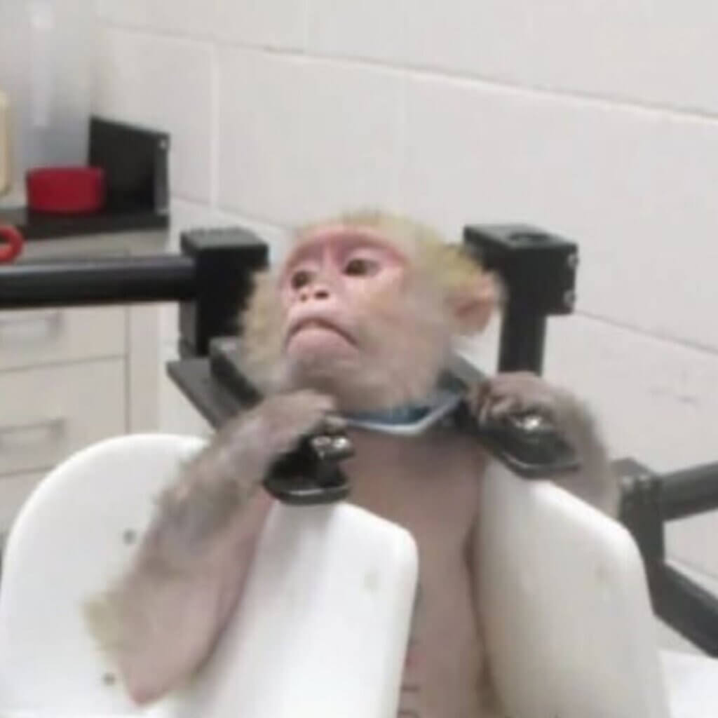 Image for the NIH cancel grants AA