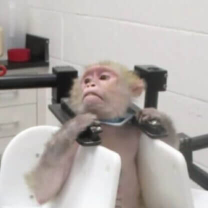 Image for the NIH cancel grants AA