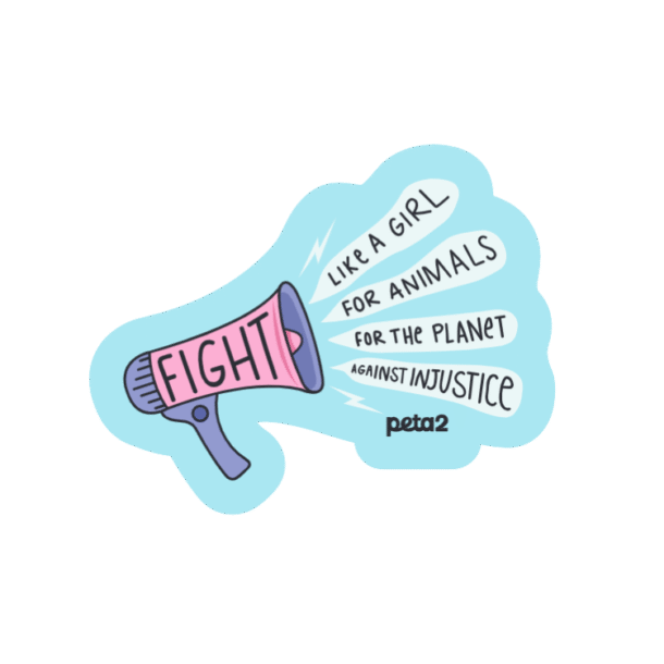 fight like a girl sticker rewards