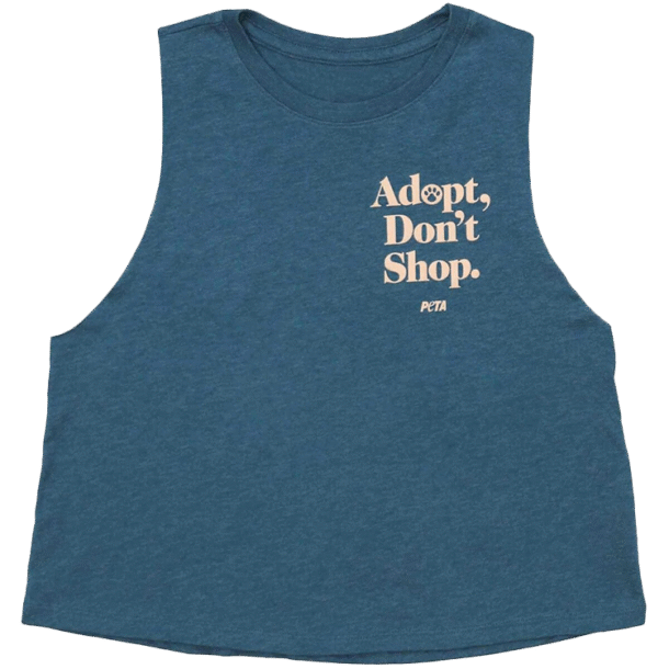 adopt dont shop tank rewards