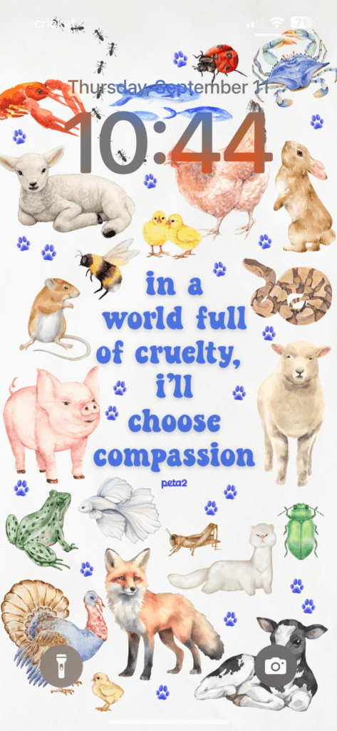 PETA-owned image for the choose compassion mission