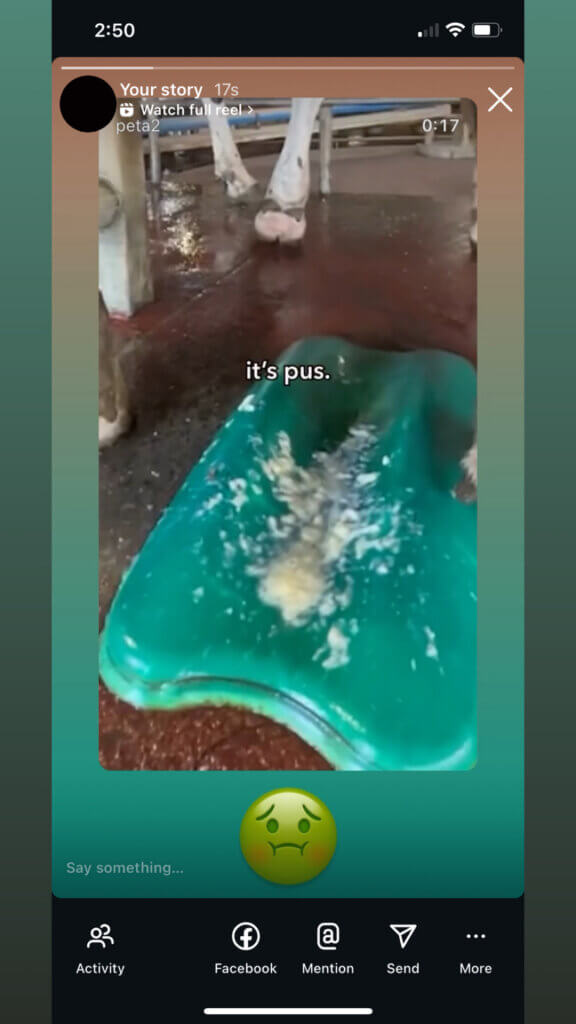 PETA-owned image for the pus video mission